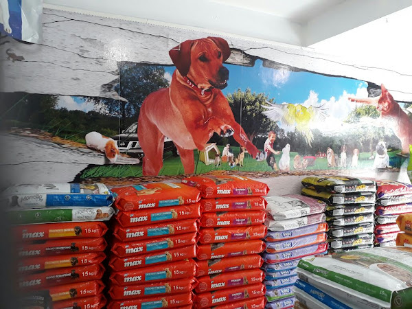 Foto 4 PET SHOP E CONSULTORIO VETERINARIO DOG JR