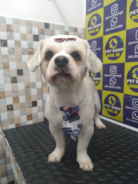 Foto 5 PET SHOP E CONSULTORIO VETERINARIO DOG JR