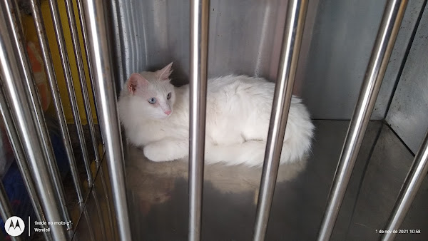 Foto 2 Petzando PetShop