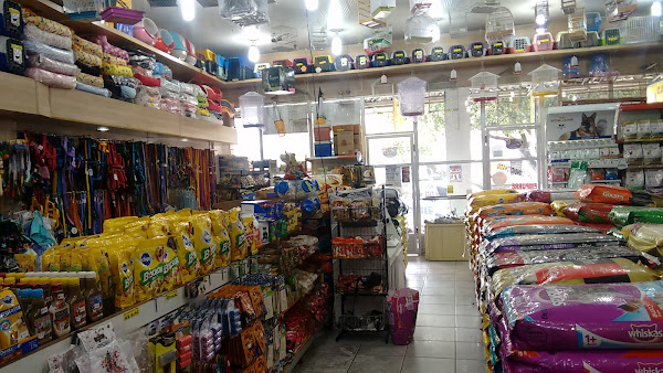 Foto 1 Casa Doberman Japiim