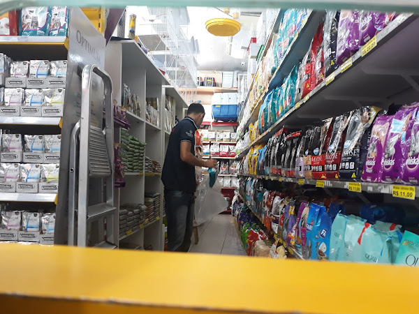 Foto 4 Casa Doberman Japiim