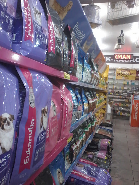 Foto 5 Casa Doberman Japiim