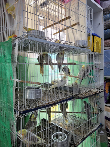 Foto 1 Casa Canina Foto 1 Casa Canina