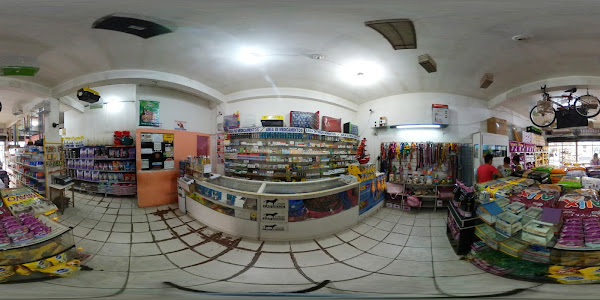 Foto 2 Casa Pet Faro