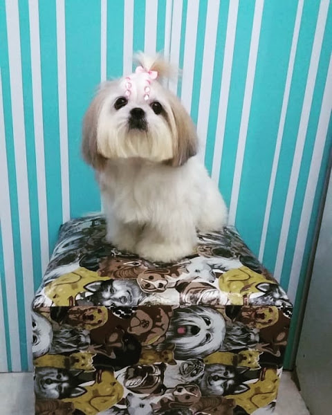 Foto 2 Pet’s life Manaus