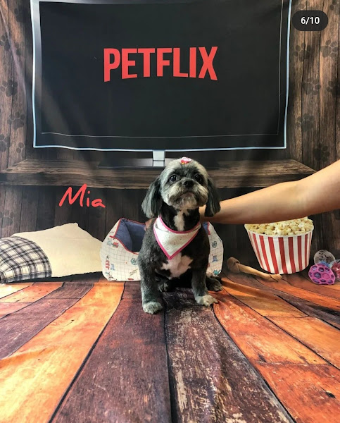 Foto 2 PETNIK PETSHOP & CLÍNICA VETERINÁRIA