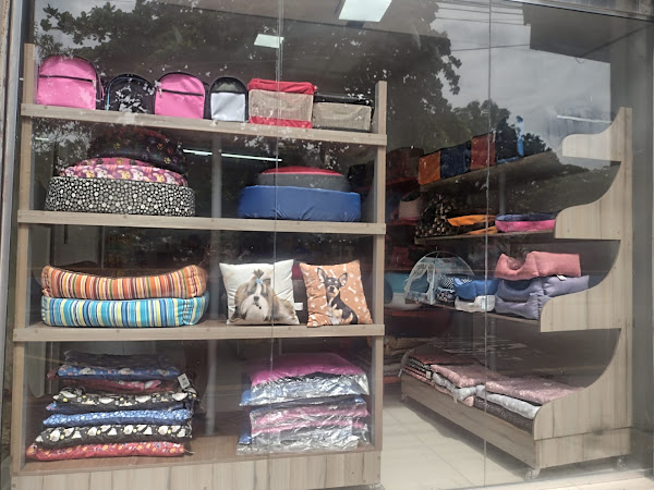 Foto 3 Casa dos Cães