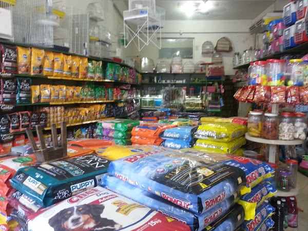 Foto 4 Casa dos Cães