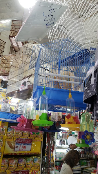 Foto 1 Pet Shop Anibal Bandeira