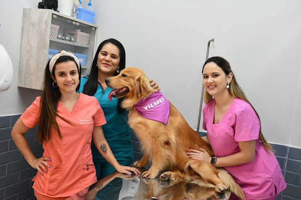 Vilapet - Clínica Veterinária & Petshop Boutique