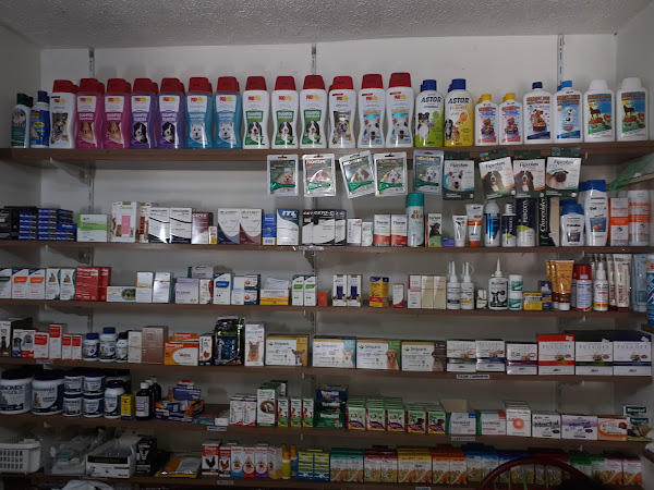 Foto 2 Cazapet Barés