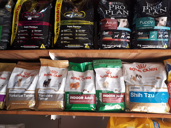 Foto 4 Cazapet Barés