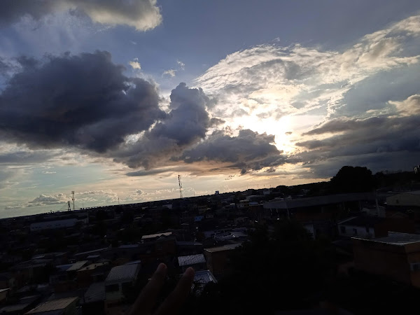 Foto 1 Planeta Animal