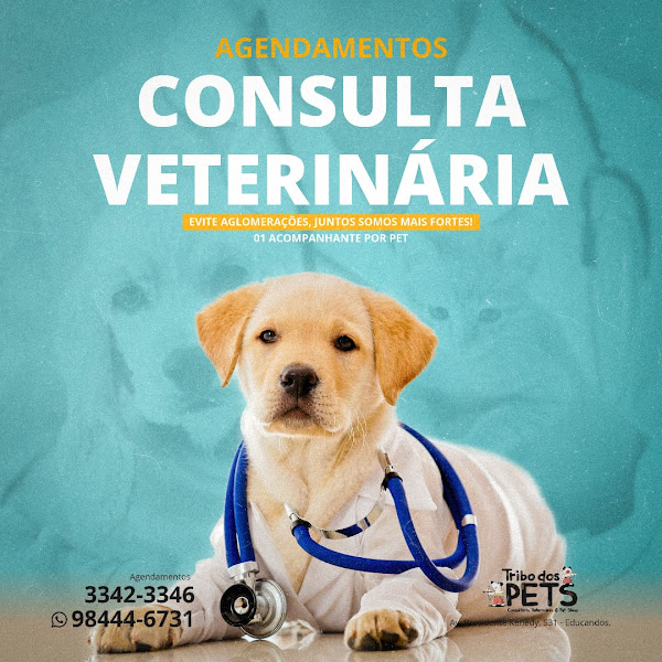 Foto 2 Tribo dos Pets