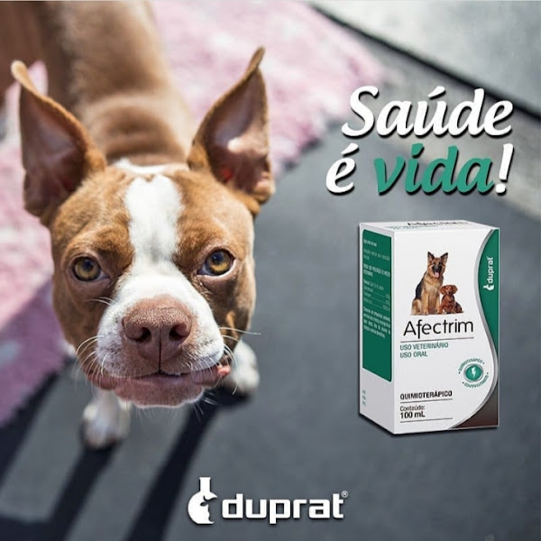 Foto 2 Consultório Veterinário Pet Show