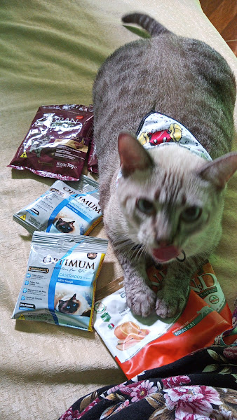 Foto 2 The Dogs Pet Store