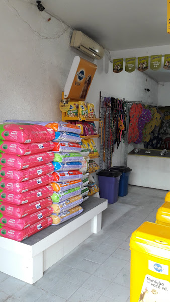 Foto 2 Clínica veterinária reino animal