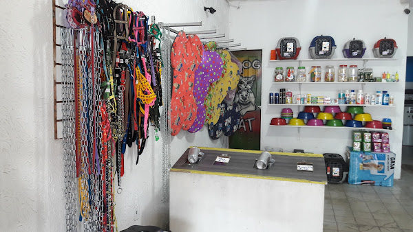 Foto 3 Clínica veterinária reino animal