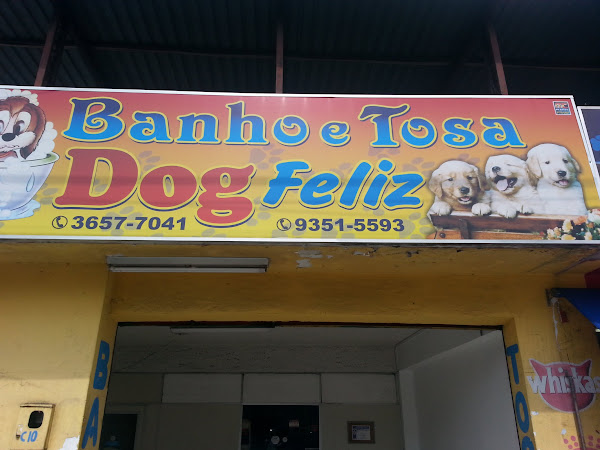 Dog Feliz