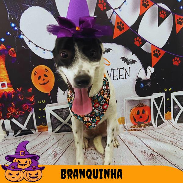 Foto 4 Loupet's Pet Shop