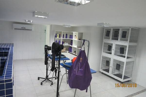 Foto 2 Estilo de Pet