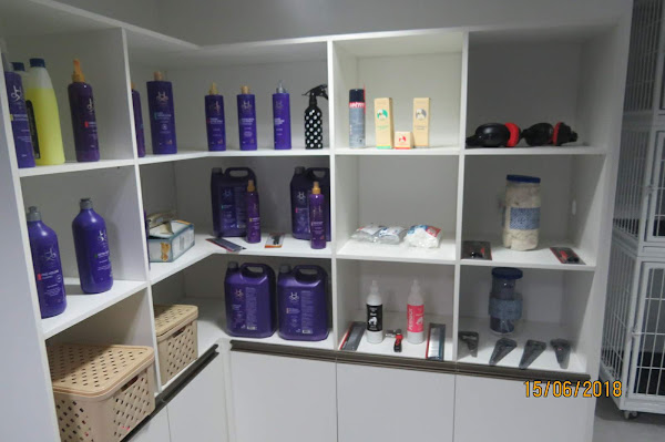 Foto 3 Estilo de Pet