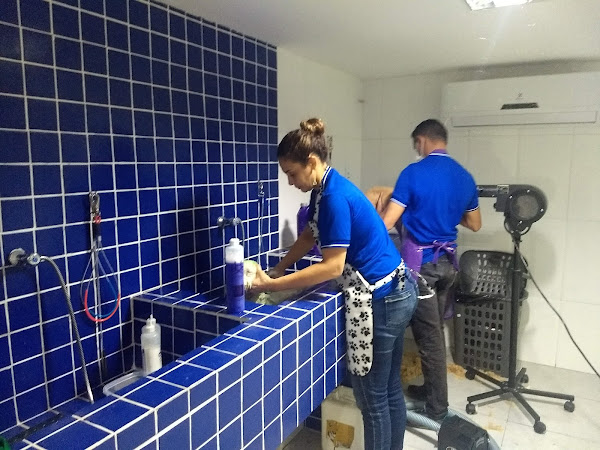 Foto 6 Estilo de Pet