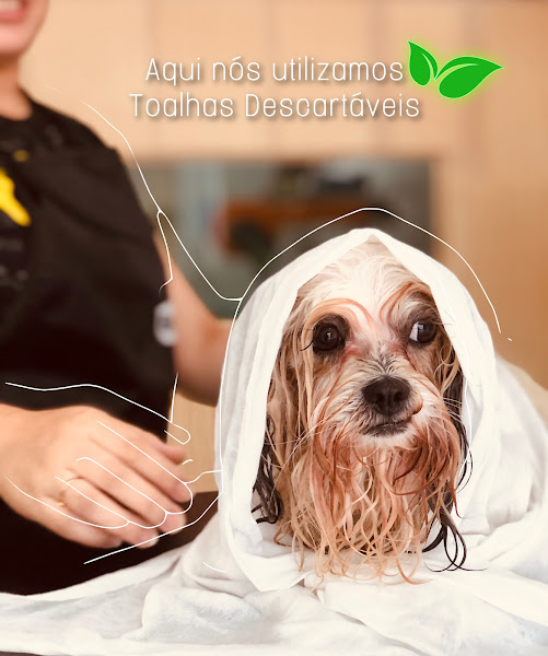 Foto 3 Cristal Pet Shop - Banho e tosa