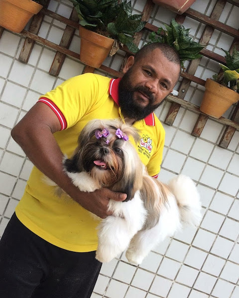 Foto 3 Lat e Mia Pet Shop e Banho Tosa