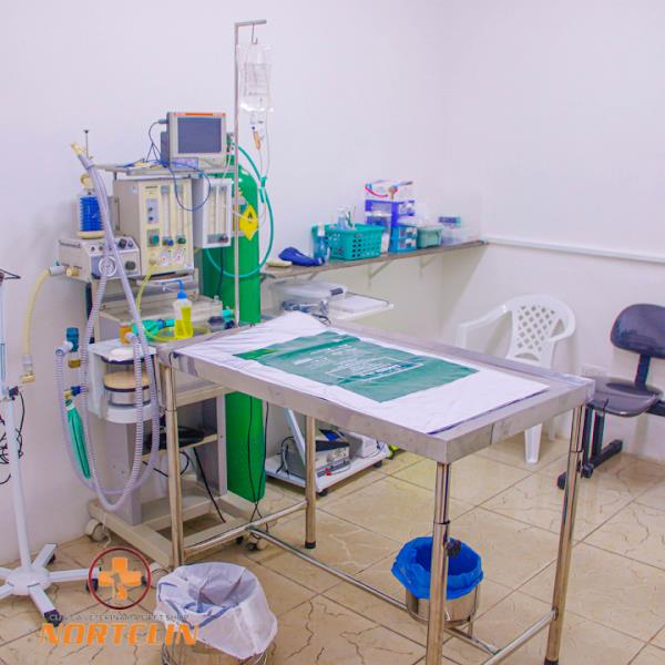 Foto 1 NortClinPet- Cliníca Veterinária e Pet Shop