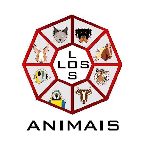 Foto 1 LOSAnimais Pet Shop