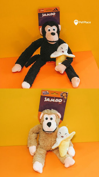 Foto 4 Pet Place Foto 4 Pet Place