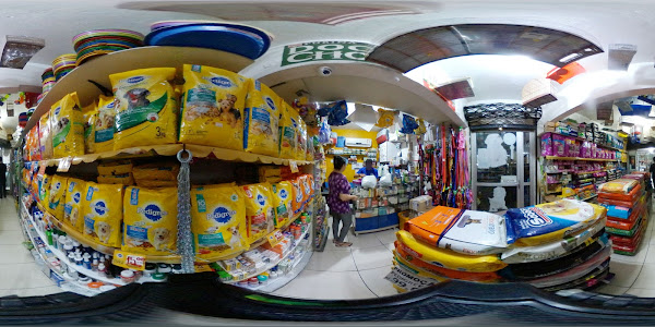 Foto 1 Casa Canário