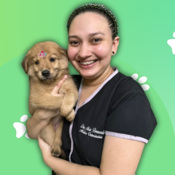 Foto 4 ChamaVet Pet Shop & Atendimento à Domicílio