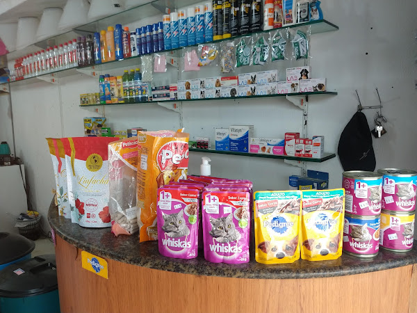 Pet Shop Bicho Amigo