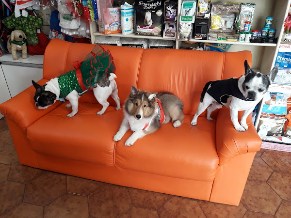 Foto 2 Balaio de Pelos - Pet Shop e Clínica Veterinária Balaio de Pelos