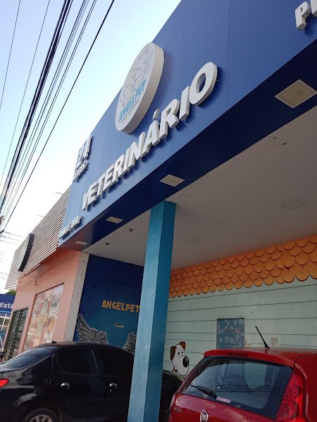 AngelPet Clínica Veterinária 24h