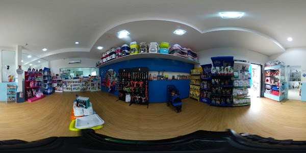 Foto 2 AngelPet Clínica Veterinária 24h