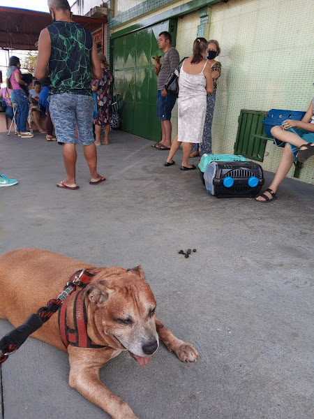 Foto 1 Centro Medico Veterinario de Manaus