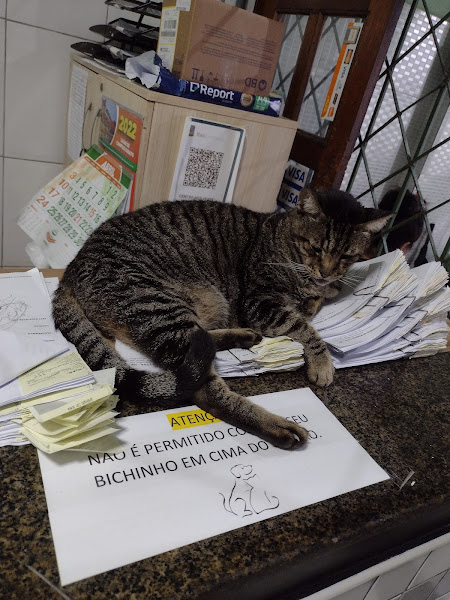 Foto 5 Centro Medico Veterinario de Manaus