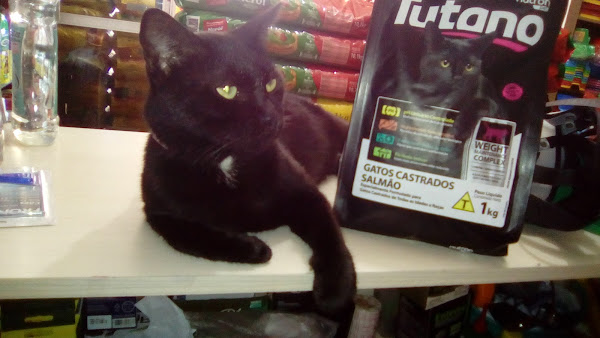 Foto 2 Alvorada Pet Shop