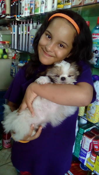 Foto 3 Alvorada Pet Shop