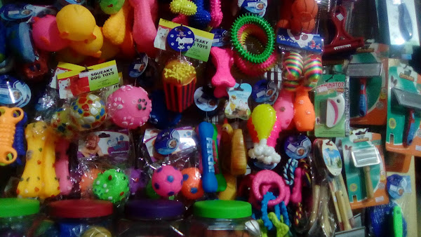 Foto 4 Alvorada Pet Shop Foto 4 Alvorada Pet Shop