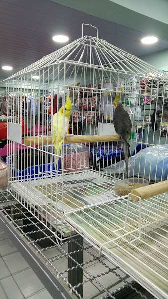 Foto 3 Clínica Veterinária Arca de Noé