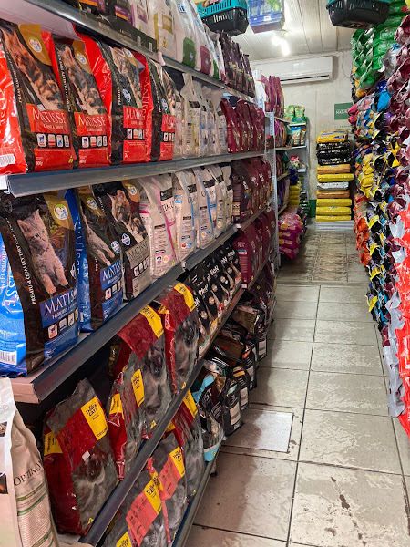 Foto 1 PET & GATÔ CONSULTÓRIO VETERINÁRIO