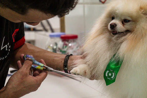 Foto 2 Clínica Veterinária Linameg