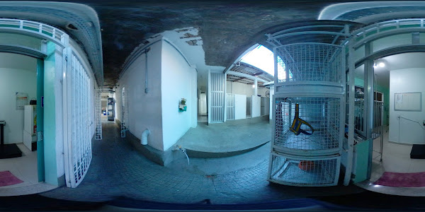 Foto 3 Clínica Veterinária Linameg