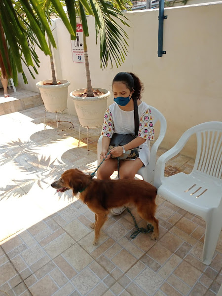 Foto 3 Ong Anjos de Rua Manaus