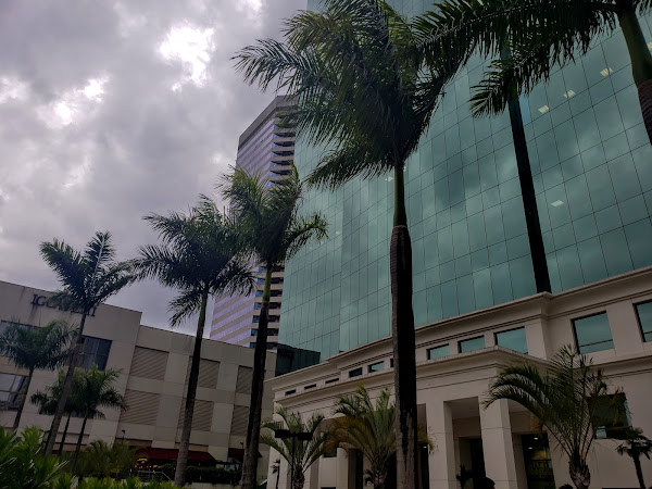 PG Advogados PG Advogados