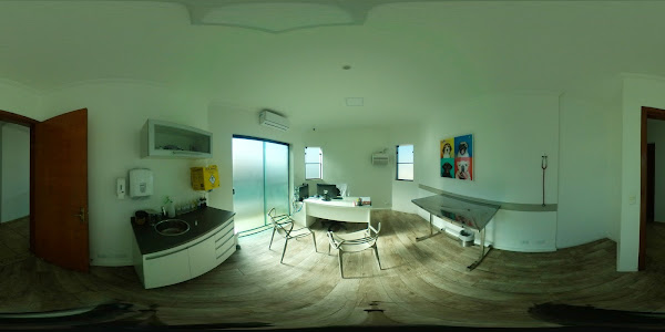 Foto 3 Clínica Veterinária Paulistano 24h